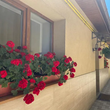Villa Fly To Luxury House Kaloşvar